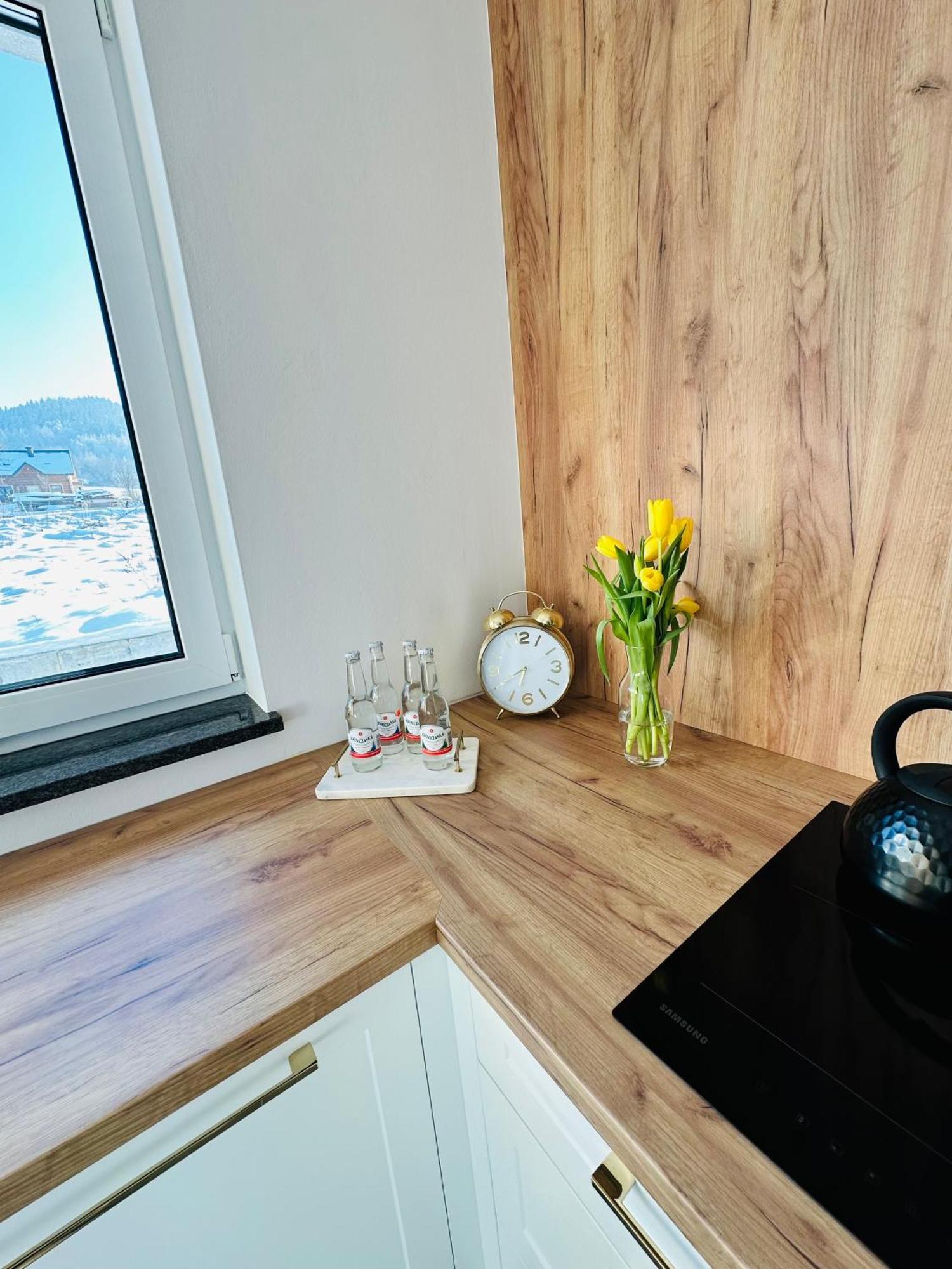 Apartament Krynica-Zdroj - Powroznik - Dom Na Wzgorzu - House On The Hill موشينا المظهر الخارجي الصورة